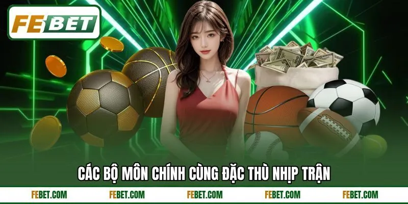 Các bộ môn chính cùng đặc thù nhịp trận Các bộ môn chính cùng đặc thù nhịp trận