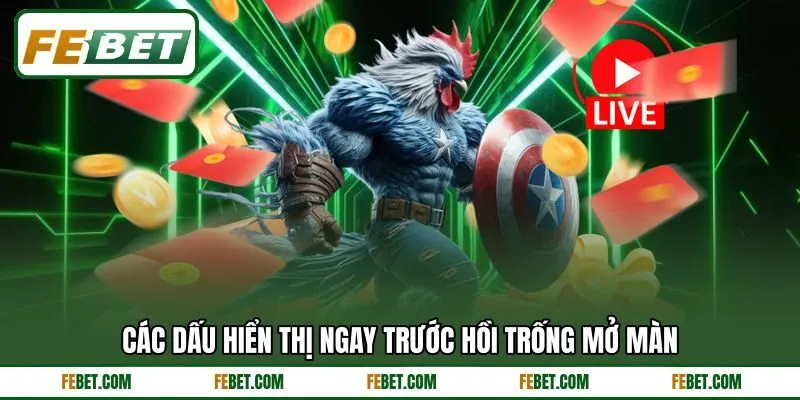 Các dấu hiển thị ngay trước hồi trống mở màn