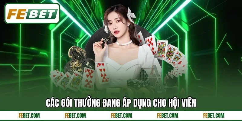 Các gói thưởng đang áp dụng cho hội viên Các gói thưởng đang áp dụng cho hội viên