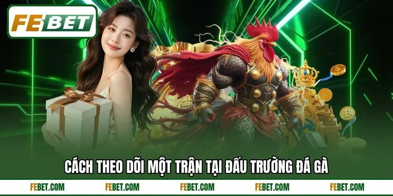 Cách theo dõi một trận tại đấu trường đá gà Cách theo dõi một trận tại đấu trường đá gà