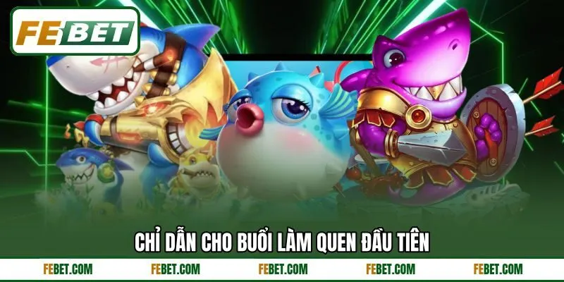 Chỉ dẫn cho buổi làm quen đầu tiên