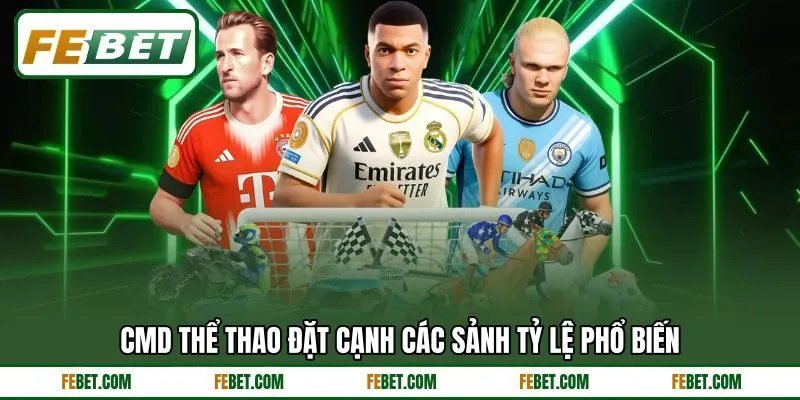 CMD thể thao đặt cạnh các sảnh tỷ lệ phổ biến CMD thể thao đặt cạnh các sảnh tỷ lệ phổ biến