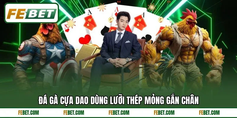 Đá gà cựa dao dùng lưỡi thép mỏng gắn chân Đá gà cựa dao dùng lưỡi thép mỏng gắn chân