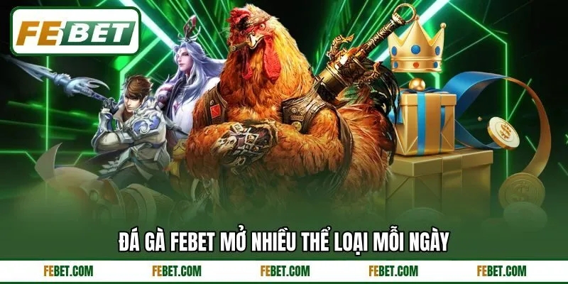 Đá gà FEBET mở nhiều thể loại mỗi ngày Đá gà FEBET mở nhiều thể loại mỗi ngày
