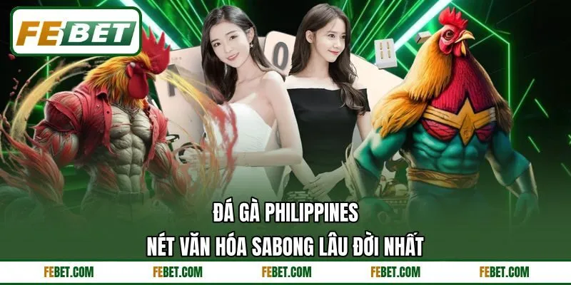 Đá Gà Philippines - Nét Văn Hóa Sabong Lâu Đời Nhất