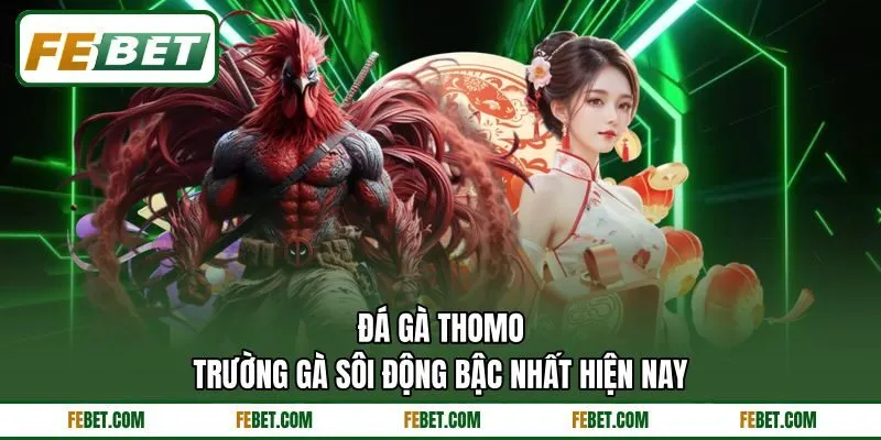 Đá Gà Thomo - Trường Gà Sôi Động Bậc Nhất Hiện Nay