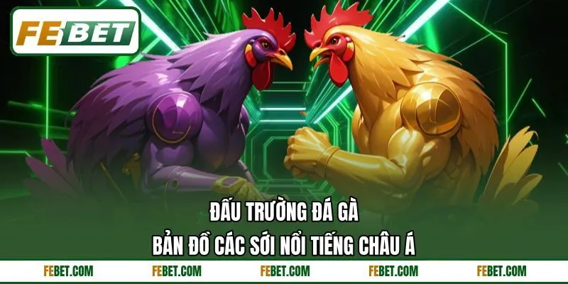 Đấu Trường Đá Gà - Bản Đồ Các Sới Nổi Tiếng Châu Á