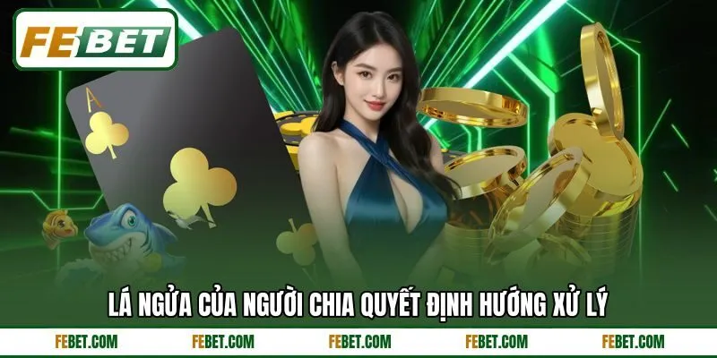 Lá ngửa của người chia quyết định hướng xử lý Lá ngửa của người chia quyết định hướng xử lý
