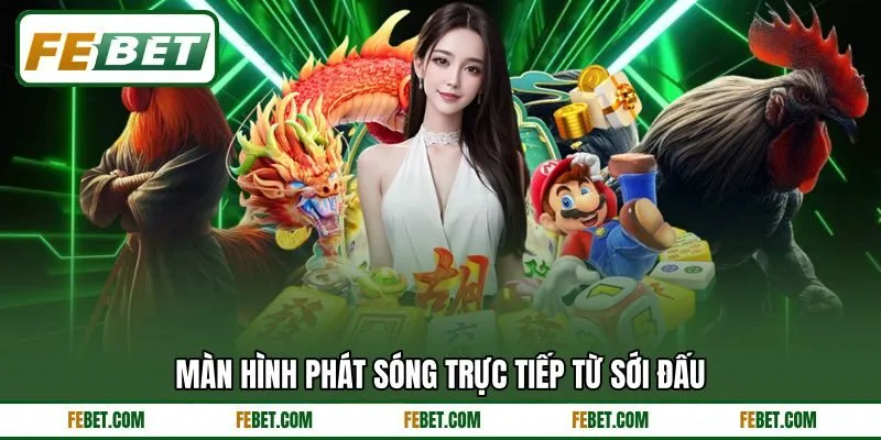 Màn hình phát sóng trực tiếp từ sới đấu Màn hình phát sóng trực tiếp từ sới đấu