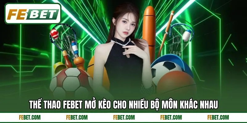 Thể thao FEBET mở kèo cho nhiều bộ môn khác nhau