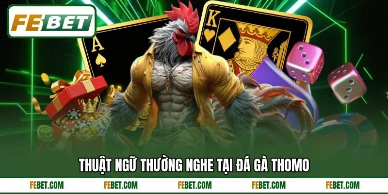 Thuật ngữ thường nghe tại đá gà Thomo Thuật ngữ thường nghe tại đá gà Thomo