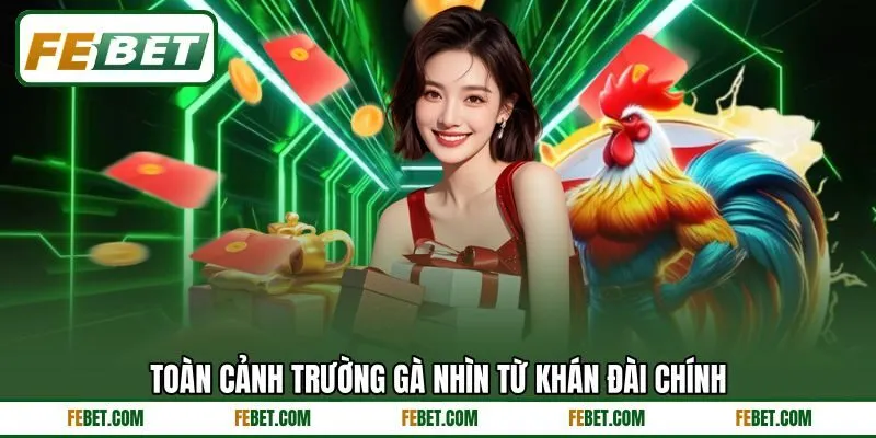 Toàn cảnh trường gà nhìn từ khán đài chính Toàn cảnh trường gà nhìn từ khán đài chính